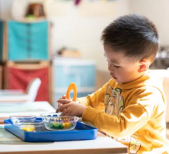 Montessori Boy Working At Desk | Montessori Schools Encouraging Self-Guided Learning and Discovery